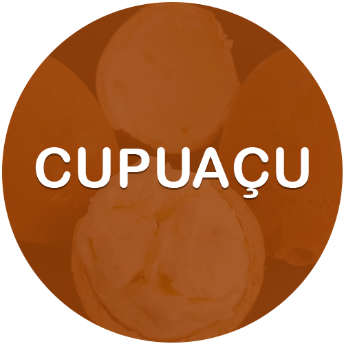 CUPUAÇU